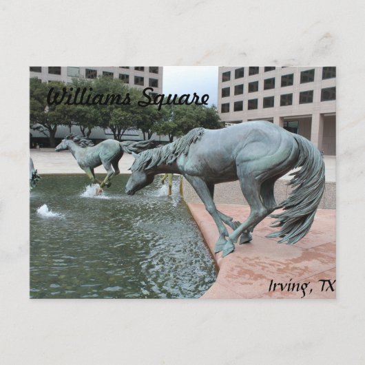 Carte Postale Mustangs de Las Colinas # 28 (Devant)
