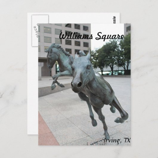 Carte Postale Mustangs de Las Colinas # 29 (Devant / Derrière)