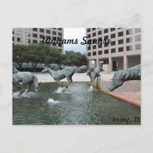 Carte Postale Mustangs de Las Colinas # 3