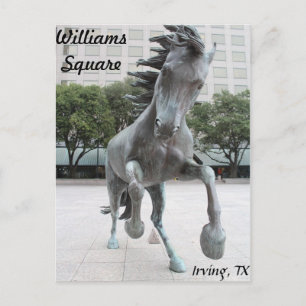Carte Postale Mustangs de Las Colinas # 4