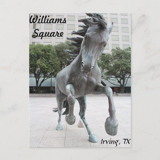 Carte Postale Mustangs de Las Colinas # 4 (Devant)