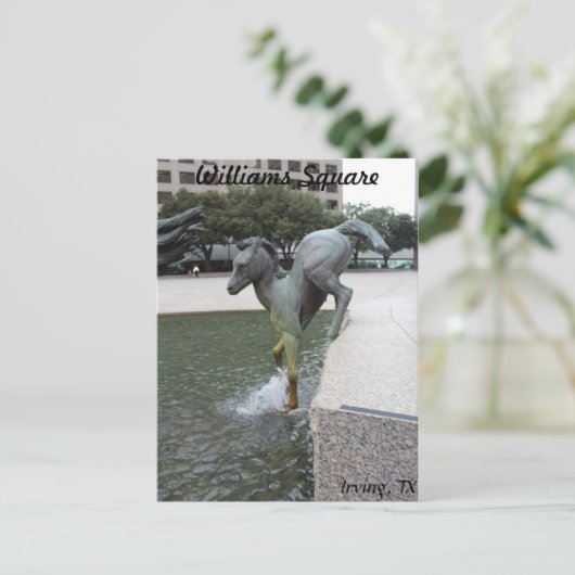 Carte Postale Mustangs de Las Colinas # 7 (Debout devant)