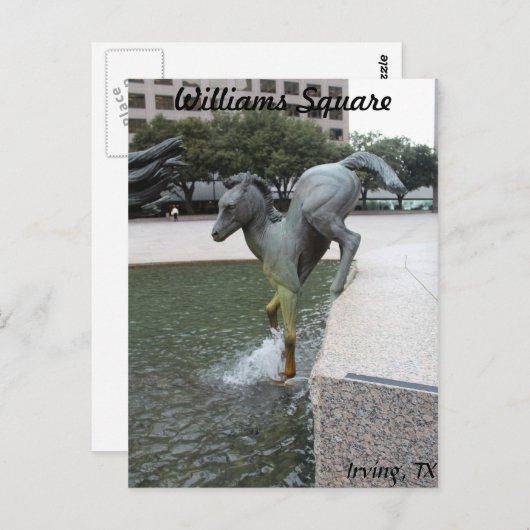 Carte Postale Mustangs de Las Colinas # 7 (Devant / Derrière)