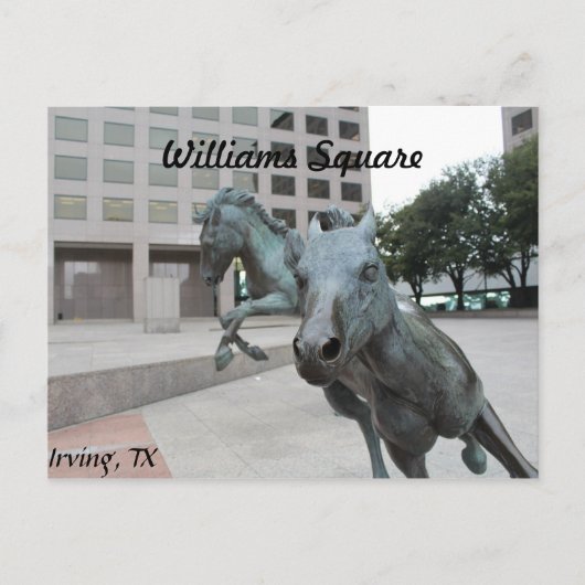 Carte Postale Mustangs de Las Colinas # 9 (Devant)