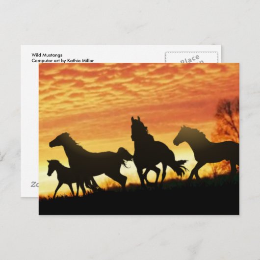 Carte Postale Mustangs sauvages (Devant / Derrière)