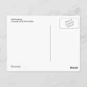 Carte Postale Mustangs sauvages (Dos)