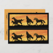 Carte Postale Mustangs sauvages (Devant / Derrière)