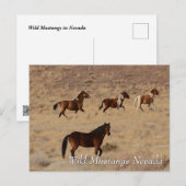 Carte Postale Mustangs sauvages dans le désert du Nevada (Devant / Derrière)