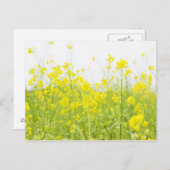Carte Postale Mustard de campagne 2 (Devant / Derrière)