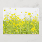 Carte Postale Mustard de campagne 2 (Devant)