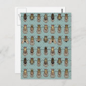 Carte Postale mutants de Drosophila (Devant / Derrière)