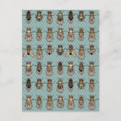 Carte Postale mutants de Drosophila (Devant)