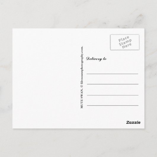 Carte Postale Mute Swan (Dos)