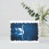 Carte postale Mute Swan (Debout devant)