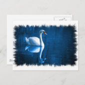 Carte postale Mute Swan (Devant / Derrière)