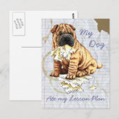 Carte Postale My Chinese Shar-Pei Mange Mon Plan De Leçon (Devant / Derrière)