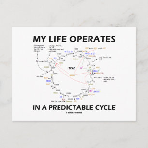 Carte Postale My Life Operates In A Predictable Cycle (cancer)