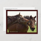 Carte Postale My Turbulente Miss avec Taba Postcard (Devant / Derrière)