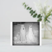 Carte Postale Mychtar et son Snowdog ! :) (Debout devant)