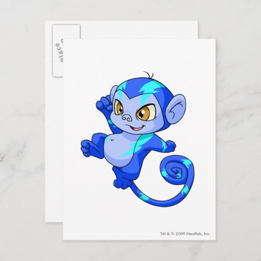 Carte Postale Mynci électrique (Devant / Derrière)