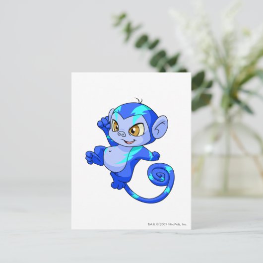 Carte Postale Mynci électrique (Debout devant)