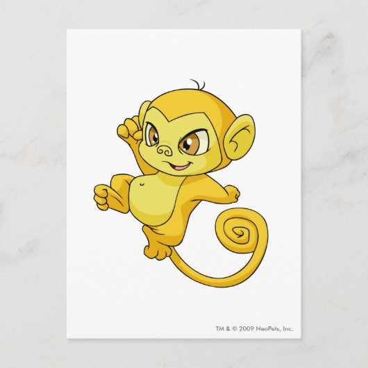 Carte Postale Mynci jaune (Devant)
