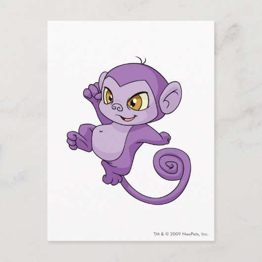 Carte Postale Mynci Purple (Devant)