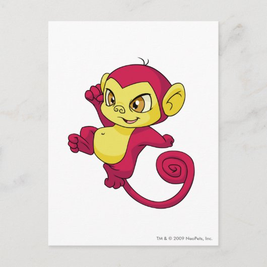 Carte Postale Mynci Rouge (Devant)