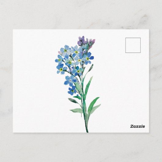 Carte postale Myosotis (Dos)