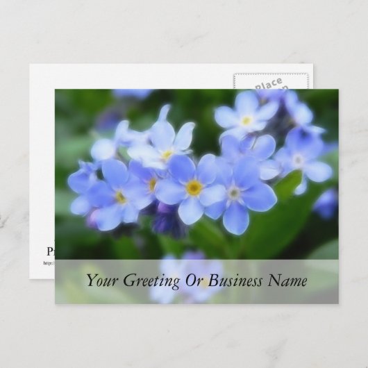 Carte Postale Myosotis sylvatica - Oubliez-moi les notes (Devant / Derrière)