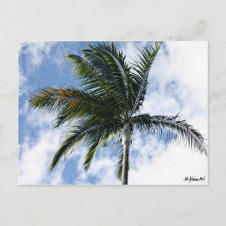 carte postale myreddingsisart palmier briefkaart