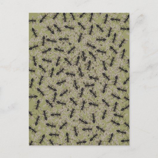 Carte Postale Myrmecophobie (Devant)