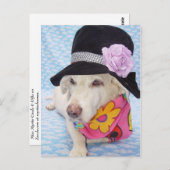 Carte Postale Myrtie d'alimentation des fleurs (Devant / Derrière)