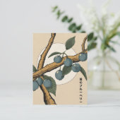 Carte Postale Myrtilles japonaises (Debout devant)