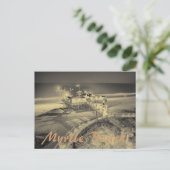 Carte Postale Myrtle Beach (Debout devant)