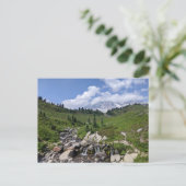 Carte Postale Myrtle Falls, Paradise - Parc national du Mont-Rai (Debout devant)