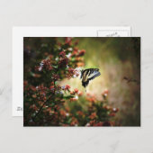 Carte Postale mystère de grâce (Devant / Derrière)