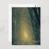 Carte Postale Mystérieuse lumière jaune dans la forêt (Devant / Derrière)