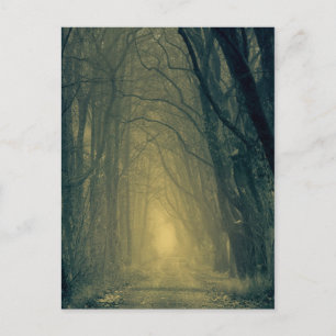 Carte Postale Mystérieuse lumière jaune dans la forêt