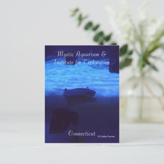 Carte postale Mystic (Debout devant)