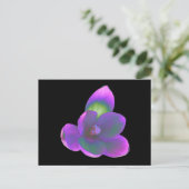 Carte postale Mystic Beauté Crocus (Debout devant)