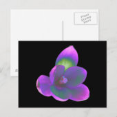 Carte postale Mystic Beauté Crocus (Devant / Derrière)