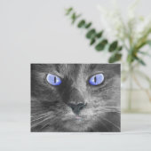 Carte postale Mystic Cat (Debout devant)