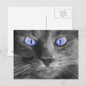 Carte postale Mystic Cat (Devant / Derrière)