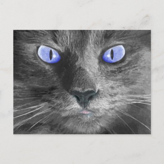 Carte postale Mystic Cat (Devant)