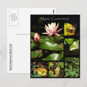 Carte Postale Mystic, Connecticut (Devant / Derrière)