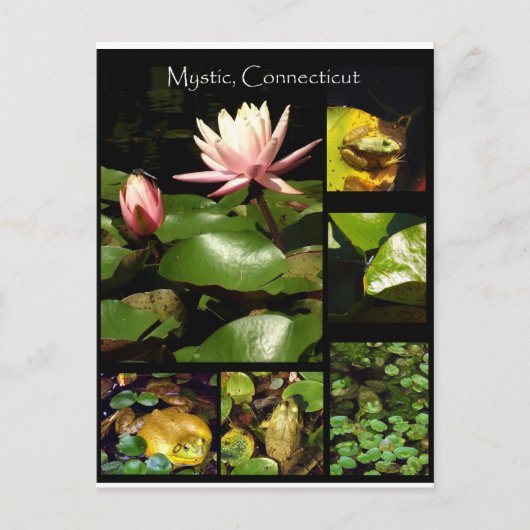 Carte Postale Mystic, Connecticut (Devant)