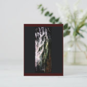 Carte postale Mystical Horse (Debout devant)