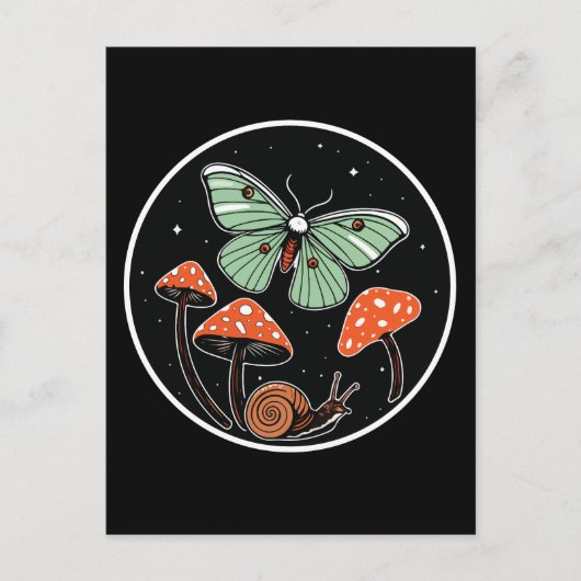 Carte Postale Mystical Moth with Mushrooms and Snail (Devant)