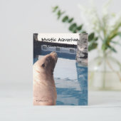 Carte postale mystique (Debout devant)